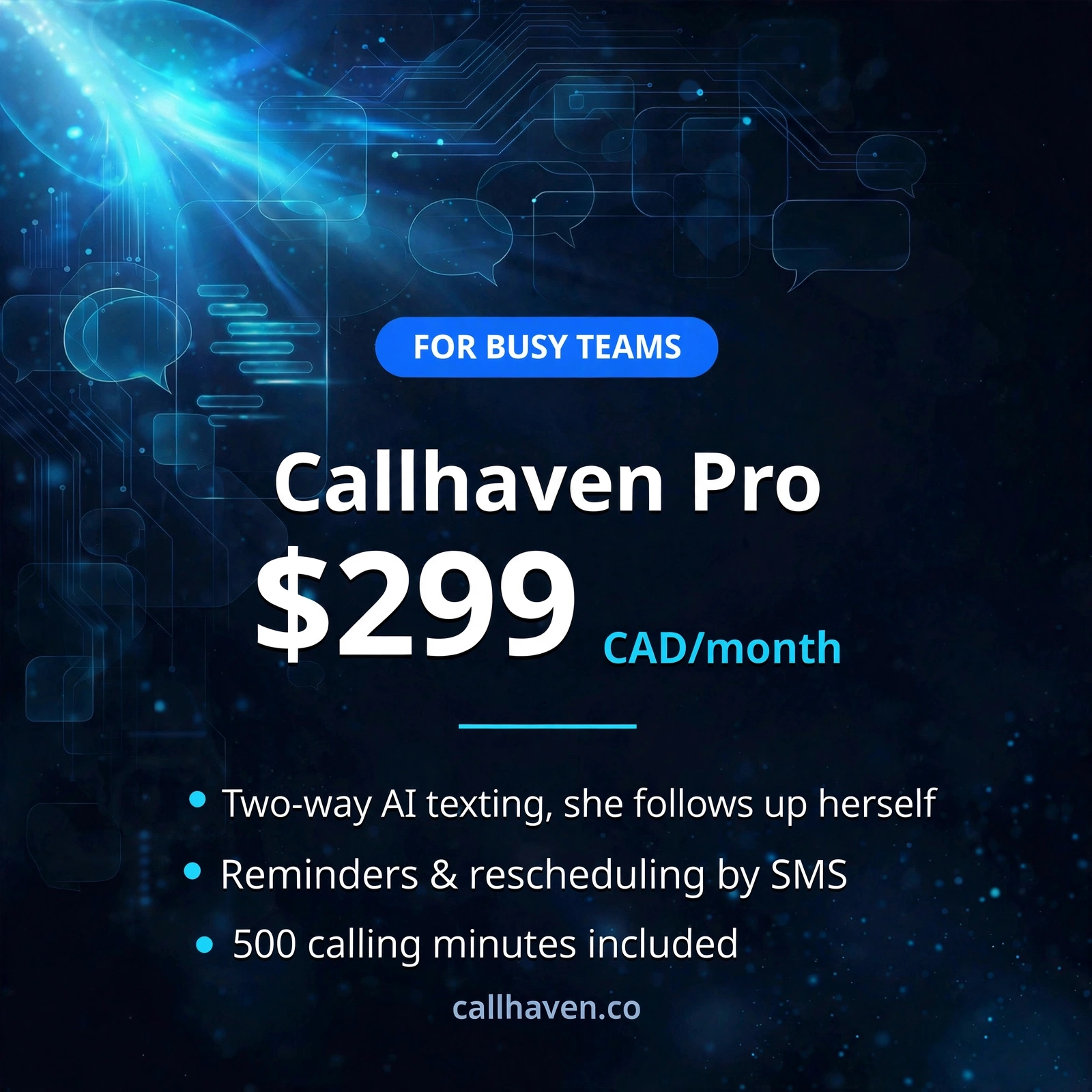 Callhaven Pro plan — $299 USD per month